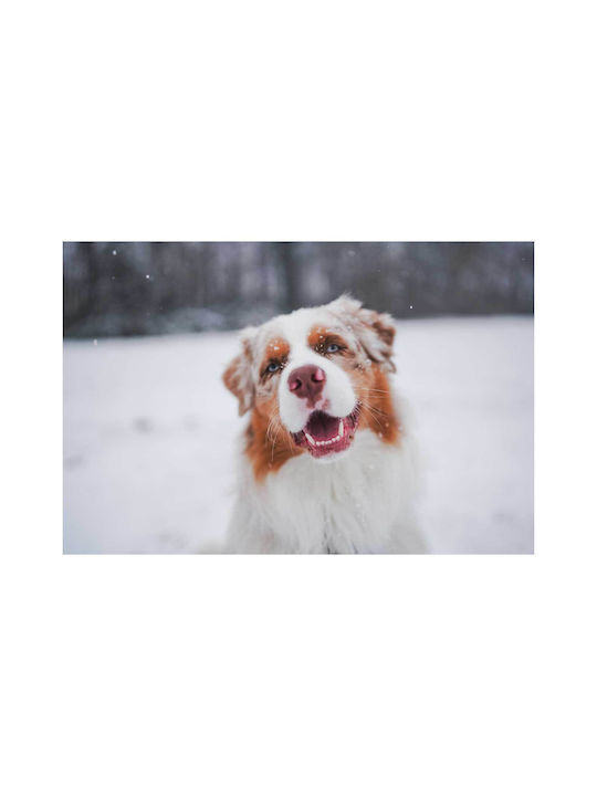Панел Happy Dog In Snow Happy Dog In Snow 150x100