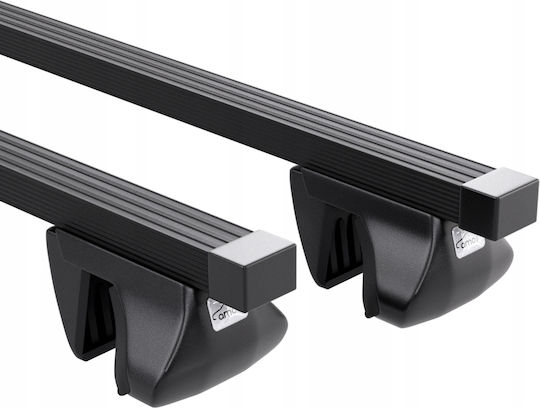 Roof Rack Citroen Nemo 4/5d Year 2008-2017