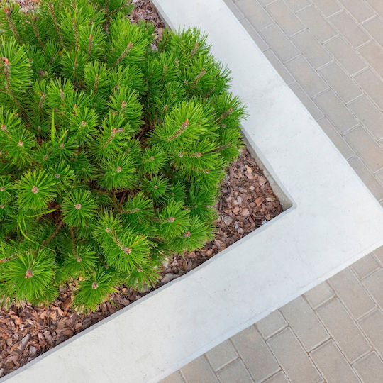 Bimberek Mittlere Kiefer Rinde 80l Glanz Rinde Garten