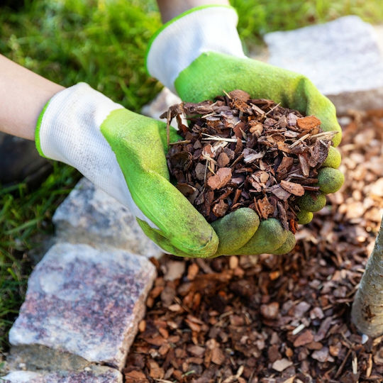 Bimberek Mittlere Kiefer Rinde 80l Glanz Rinde Garten