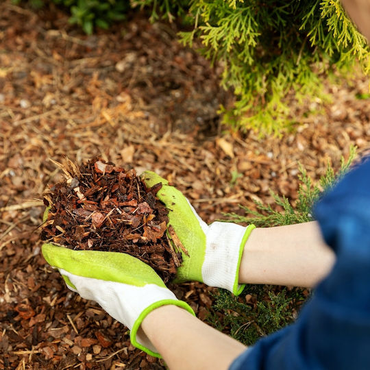 Bimberek Mittlere Kiefer Rinde 80l Glanz Rinde Garten