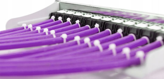 Digitus U/UTP Cat.6 (Gigabit) Cablu De Rețea Ethernet Fără Conectori 50m Violet