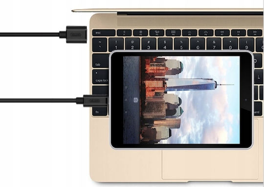 Unitek USB 2.0 Cable USB-C Male - USB-A Black 2m