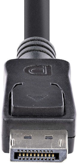 StarTech Kabel DisplayPort-Stecker - DisplayPort-Stecker 0.5m Schwarz (DISPL50CM)