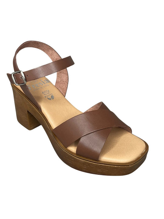 Leather Anatomic Brown Sandals