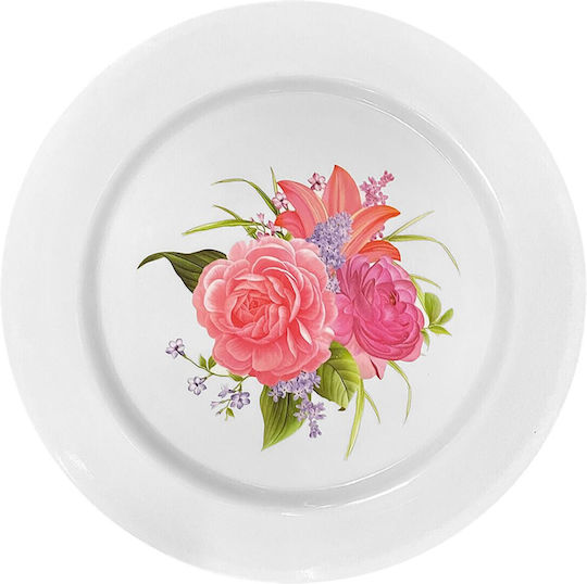 Shallow Plastic Plate 25cm 12 Pieces