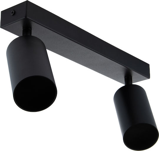 Ceiling Spot Light Tuba Spotlight Halogen Angled 2x GU10 Tabula Lumiled