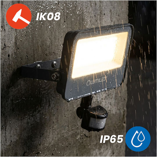 Proiector LED Trinox 30W 3300lm CCT IP65 Gri Senzor de Mișcare Lumină Crepusculară Lumiled