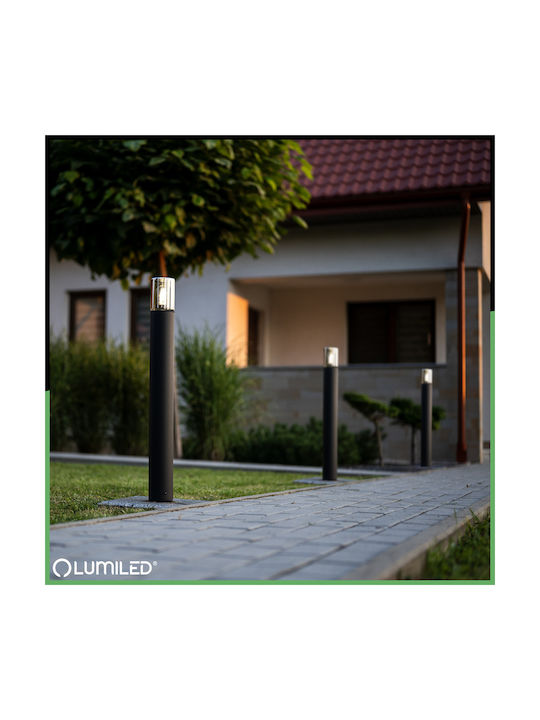 Lampa De Grădină Stâlp Pentru Exterior Bec E27 Negru Sticlă Ip54 60 Cm Salvia Lumiled