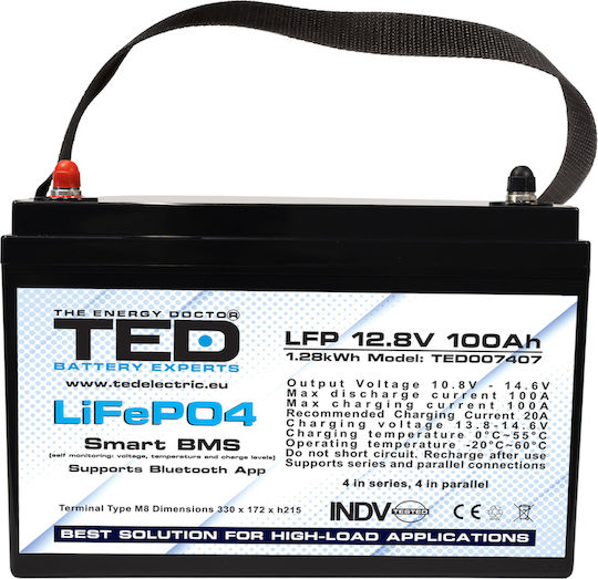 TED Electric TED007407 UPS-Batterie mit Gewicht 100Ah und Spannung 12.8V