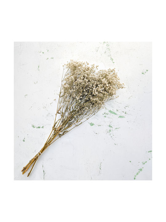 Stabilized Baby's Breath Gypsophila Royal Bouquet Natural