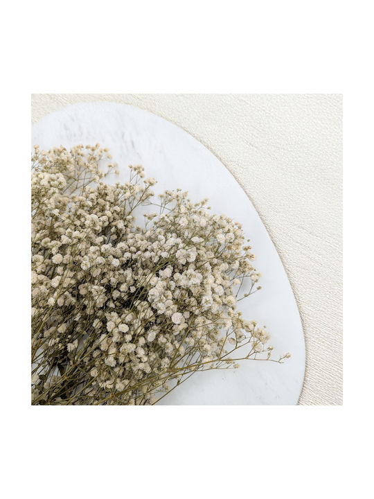 Stabilized Baby's Breath Gypsophila Royal Bouquet Natural