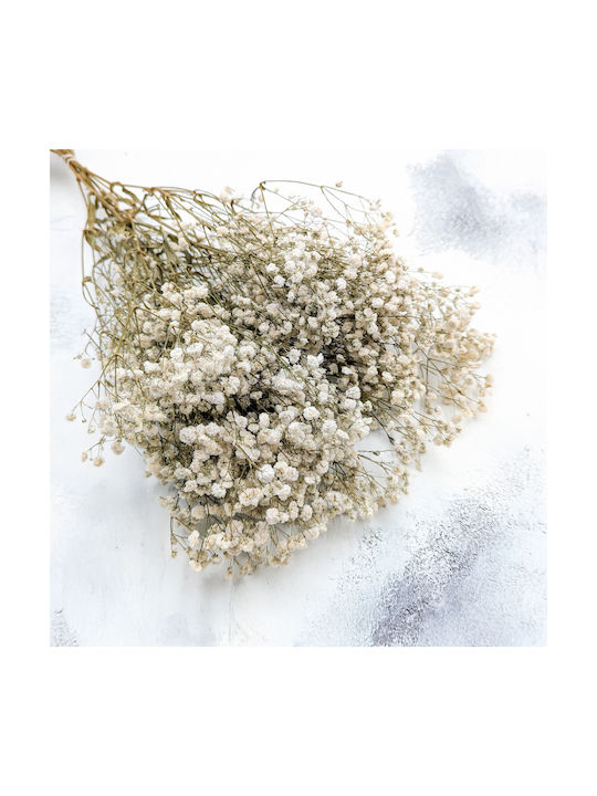 Stabilized Baby's Breath Gypsophila Royal Bouquet Natural