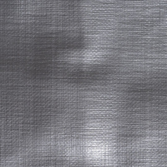Prelată Profesională Extra Groasă 3x7 M PE 260 G/m² Acoperire de Exterior Protecție