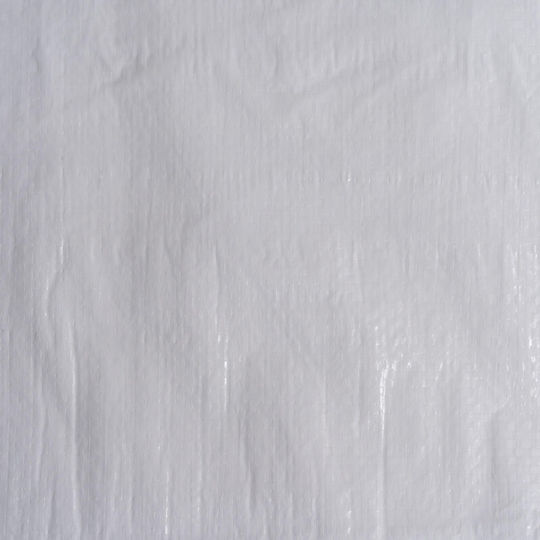 Покривка Tarp PE 55 g/m² 2x3 m Водоустойчива Метални Очица