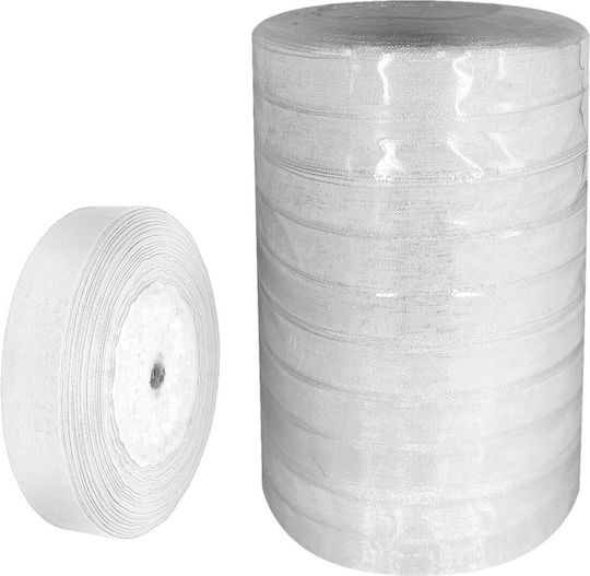 Organza Ribbon 10pcs