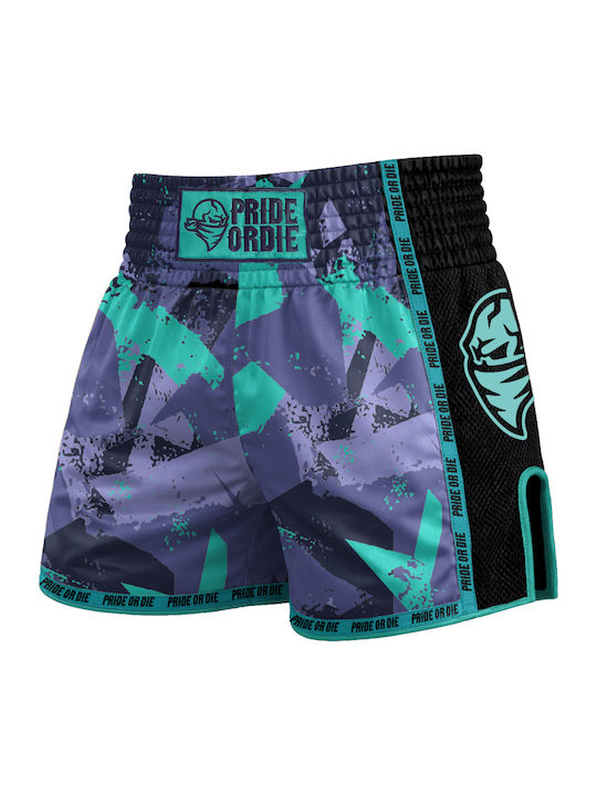 PrideOrDie Reckless V2 Thai Boxershorts Grau