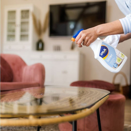 Erla Καθαριστικό Spray Τζαμιών 750ml