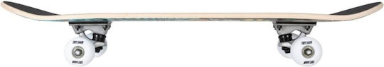 Tony Hawk 180 Complete Shortboard