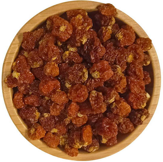 Αποξηραμένο Φυσάλις 500g Migogroup