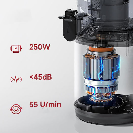 Αποχυμωτής Αργής Σύνθλιψης 250W Ασημί