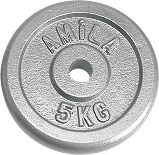 AMILA Δίσκος Μεταλλικός 1 x 5kg Φ28mm