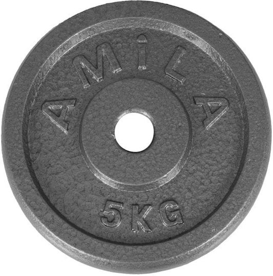 AMILA Δίσκος Μεταλλικός 1 x 2.5kg Φ28mm