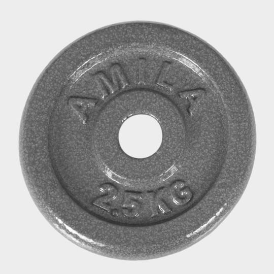 AMILA Δίσκος Μεταλλικός 1 x 2.5kg Φ28mm