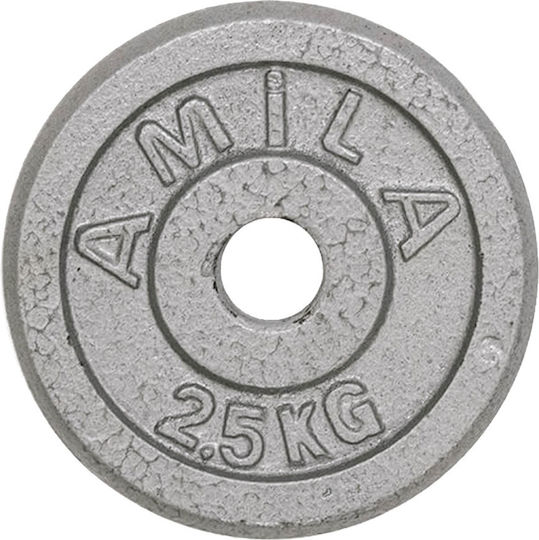 AMILA Δίσκος Μεταλλικός 1 x 2.5kg Φ28mm