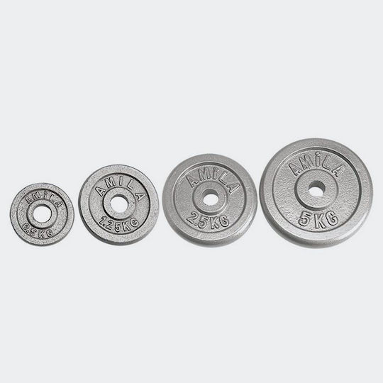 AMILA Δίσκος Μεταλλικός 1 x 2.5kg Φ28mm