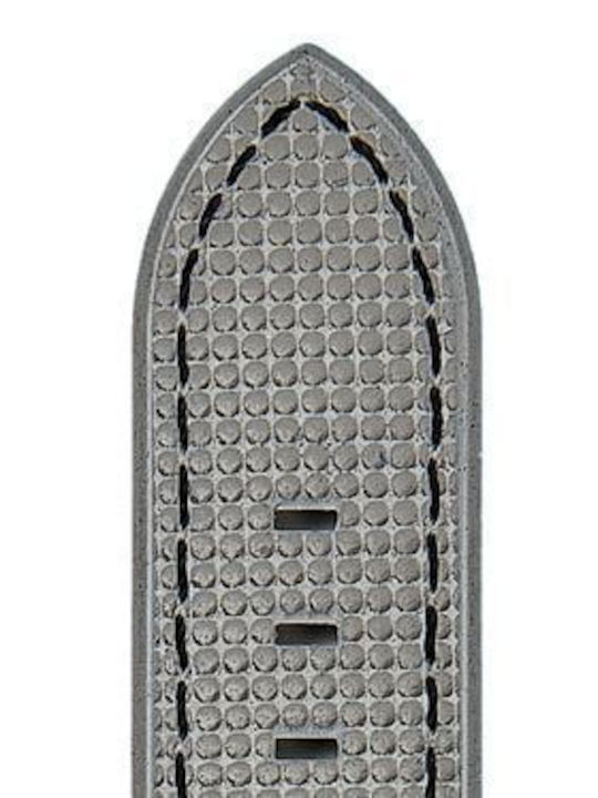 Campagnolo Cinturini Grau Nato Uhrenarmband