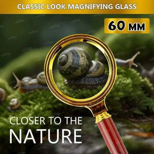 Magnifying Lens