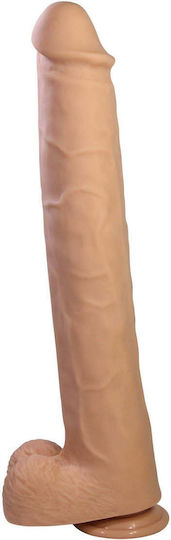 Pretty Love Ρεαλιστικό Dildo με Βεντούζα