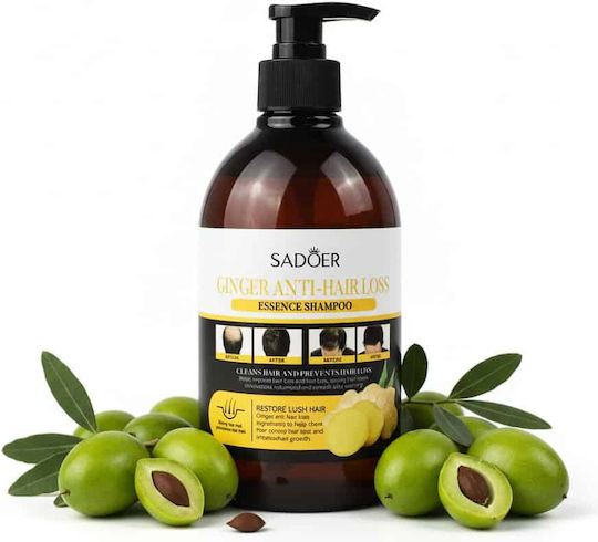 Revitalizing Anti-hair Loss Shampoo Ginger Extract 500 Ml