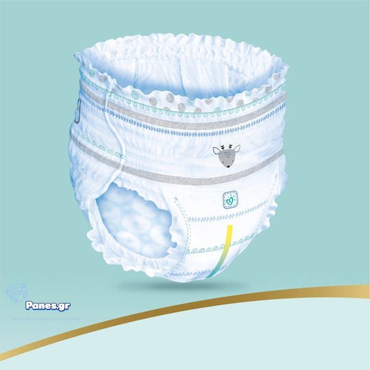 Pampers Πάνες Βρακάκι Premium Care 1+1 No. 6 για 15+kg 62τμχ