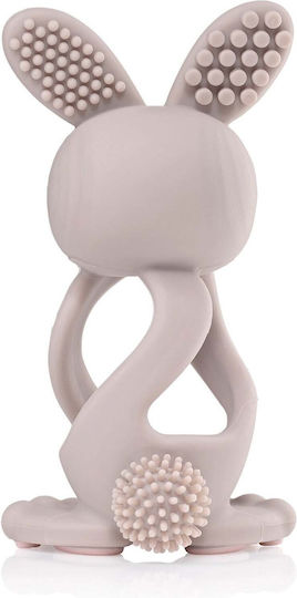 Brush Baby Teether Teething Relief from Silicone