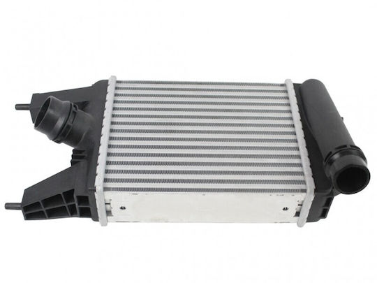 Intercooler Nissan Juke Pulsar 144613zu0a