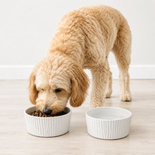 Keramik Futter- / Trinknapf für Hund & Katze 750ml 15cm