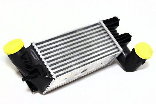 Ψυγείο Αέρα Υπερπλήρωσης Citroën C5 I Peugeot 406 607 0384f3
