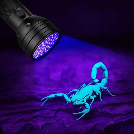 Wozinsky LED UV IP65