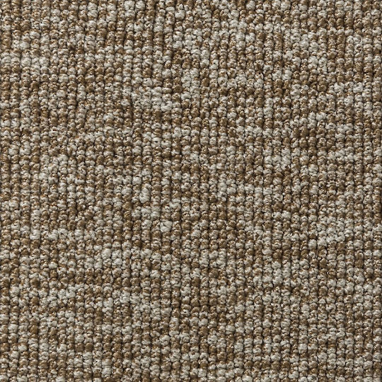 Jollie Χαλί Ορθογώνιο Μπεζ 200x230cm