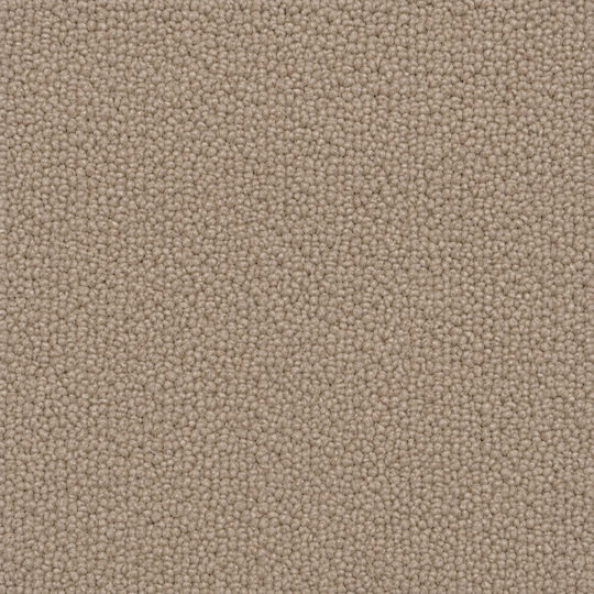 Jollie Wohnzimmer Teppich Rechteckig Beiges 200x230cm