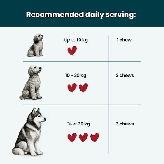 Lovira Dog Treat 180gr for Gastrointestinal Disorders