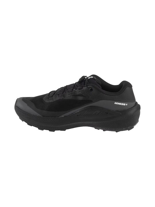 Salomon