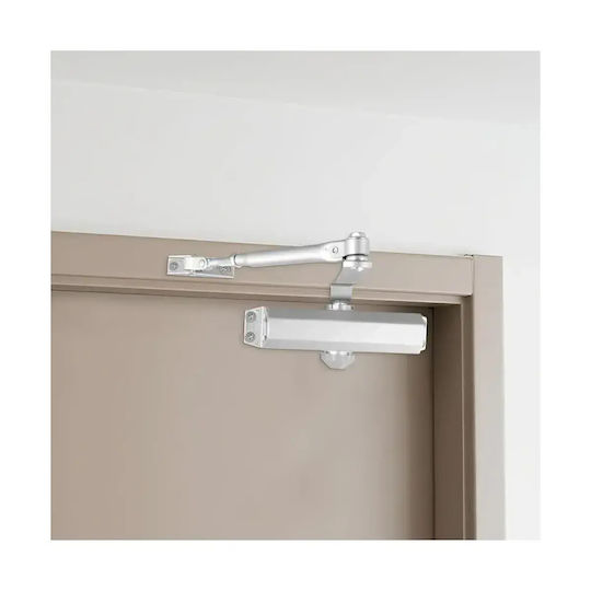 Amortizor Hidraulic Universal Pentru Ușă Mentor Acs042 2 Viteze Reglabile 60-80kg 800-1000mm 300,000 Cicluri 160 Grade Argintiu