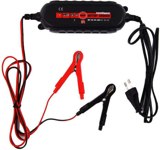 Autoline Smart Car and Motorcycle Battery Charger and Maintainer 6/12V