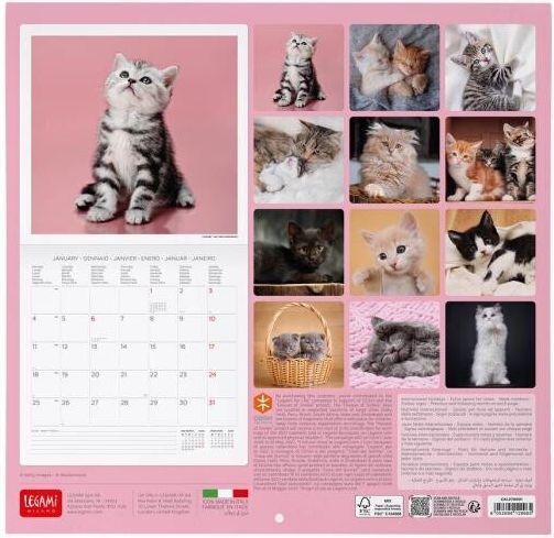 Legami Milano Daily Wall Diary 2027 Pink 29x30cm