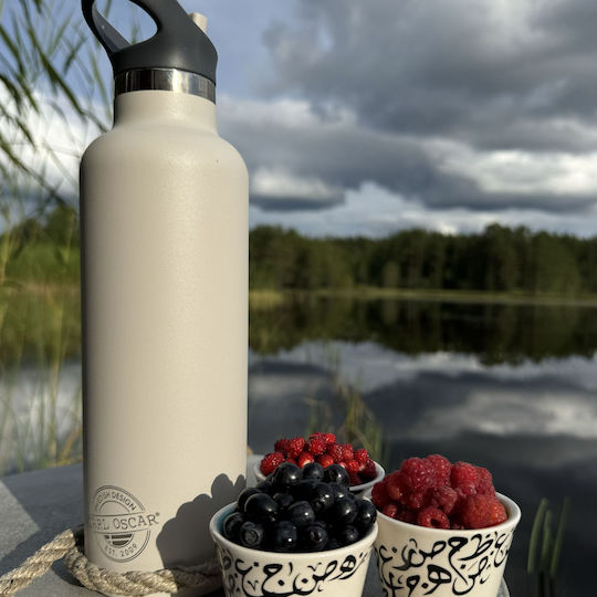 Carl Oscar Rostfreier Stahl Kinder Trinkflasche Thermos mit Stroh Auslaufsicher Grau 700ml