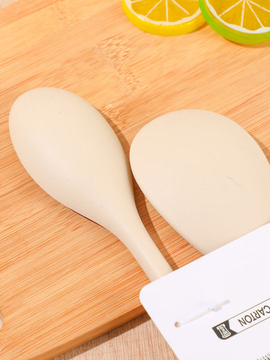 Set Stainless Steel Silver Spoons 2 Pieces