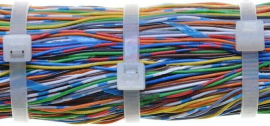 Techly Plastic Cable Ties 4.8mm Black Colour 100pcs
